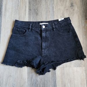 NEVER WORE PACSUN HIGH RISE SHORT